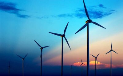 غوغل تخطو خطوة عملاقة نحو الطاقة النظيفة بشراء أكبر مزرعة رياح بحرية بهولندا