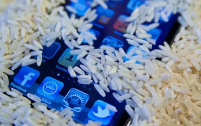 “أبل” تنفي فاعلية “الأرز” في تجفيف الهواتف وتُقدم نصائح بديلة